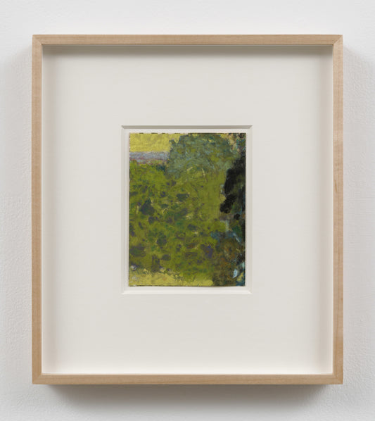 Canopy Light White Frame